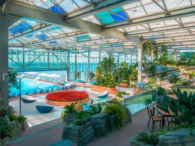 Отель «Paragraph Resort & Spa Shekvetili, Autograph Collection» — фото отеля 8