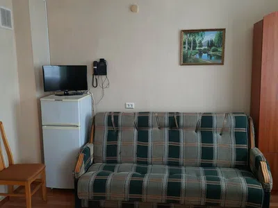 Номер-студия с кроватью размера «queen-size» — фото 2