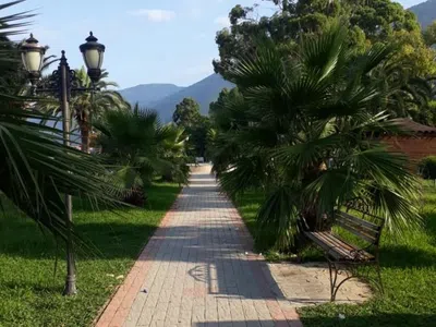 Green Guest house — фото 19