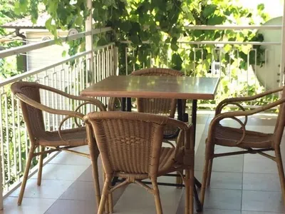 Интерьер Мини-отель «Green Guest house»